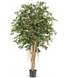 Planta artificial Ficus Benjamina – Realismo y estilo natural Mdmhogar