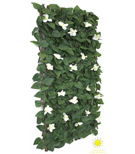 Celosía extensible con hiedra y flores blancas, ideal para exterior. Mdmhogar