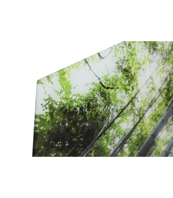 Cuadro decorativo de cristal templado, foto impresa de bambú. Mdmhogar1