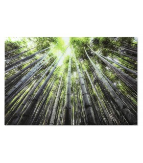 Cuadro decorativo de cristal templado, foto impresa de bambú. Mdmhogar