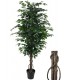 PLANTA ARTIFICIAL CON MACETA 95 Ø X 179 FICUS PARA INTERIOR