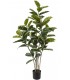 PLANTA ARTIFICIAL CON MACETA 60 Ø X 128 FICUS ROBUSTA PARA INTERIOR