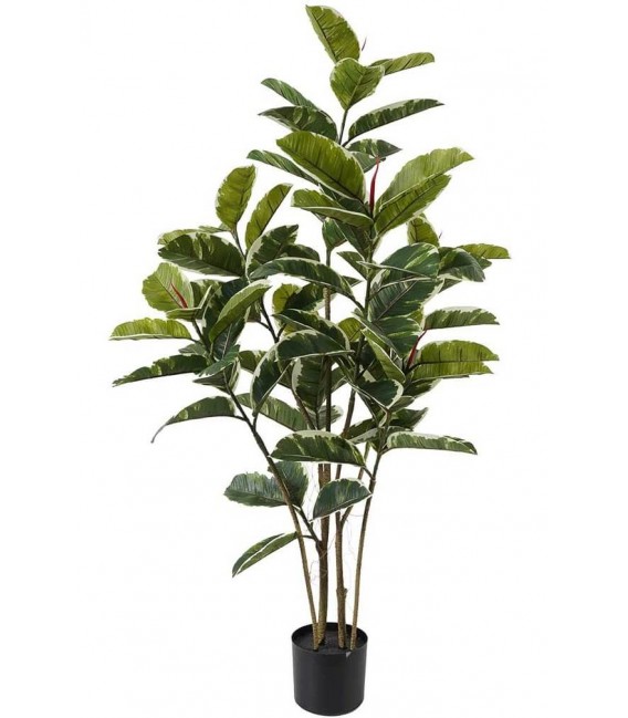 PLANTA ARTIFICIAL CON MACETA 60 Ø X 128 FICUS ROBUSTA PARA INTERIOR