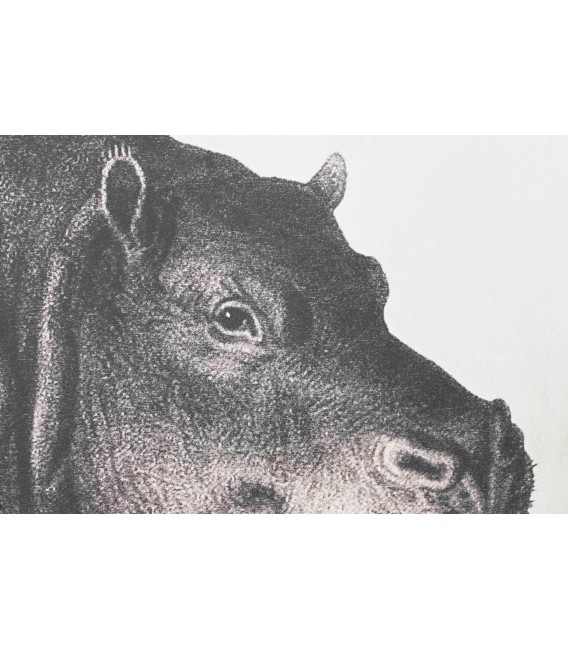 Set 3 cuadros lienzo impreso blanco y negro con marco negro fino.2