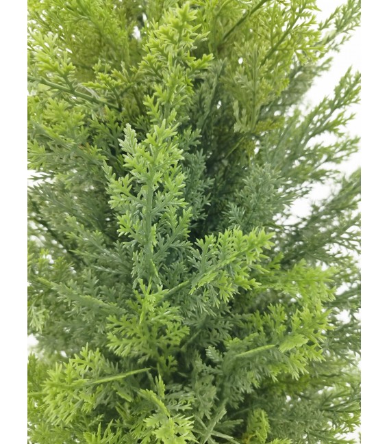 Árbol artificial tipo ciprés con protección UV y maceta negra. 1