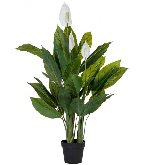 Planta artificial lirio japonés verde y blanco maceta negra interior. 1