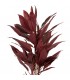 Planta artificial roja alta con macetero negro de estilo exótico.4
