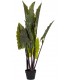 Planta artificial tropical alocasia con maceta negra para interior. 1