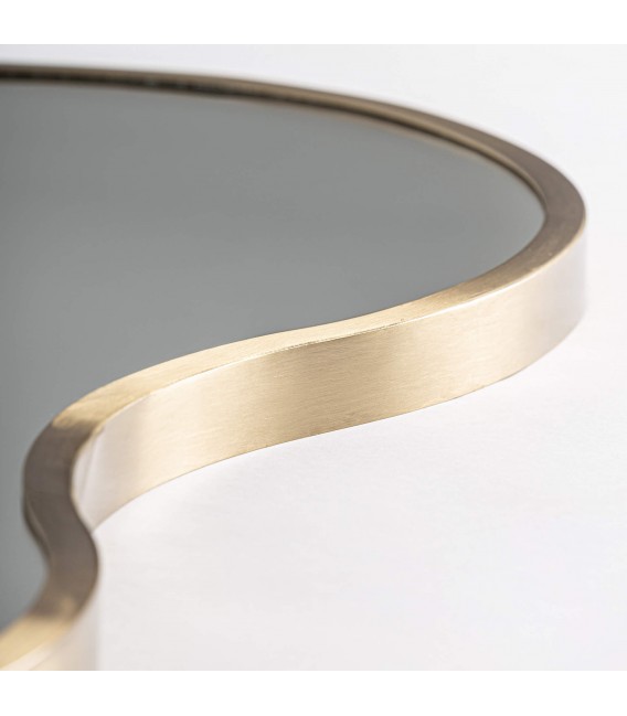 ESPEJO 60 X 3 X 109 RINNE ALUMINIO DORADO