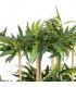 PLANTA ARTIFICIAL CON MACETA 55 X 16 X 155 BAMBU MULTIPLE PARA INTERIOR