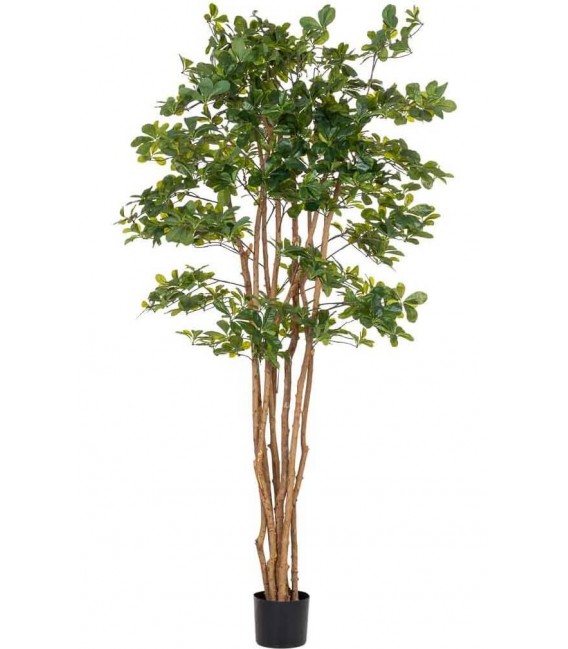 Planta ficus artificial con maceta, ideal para decorar interiores verdes1