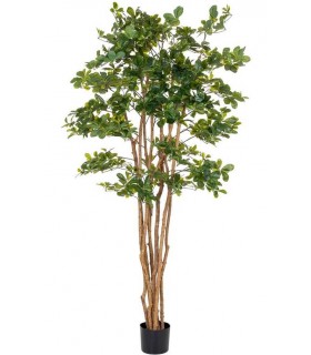 Planta ficus artificial con maceta, ideal para decorar interiores verdes