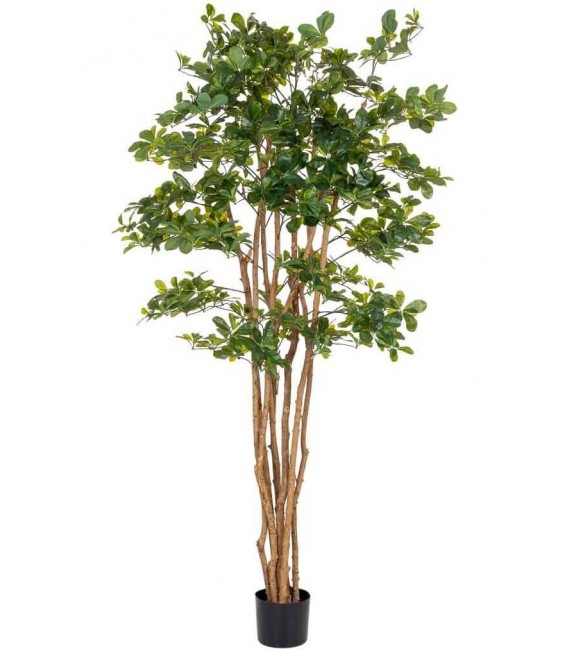 Planta ficus artificial con maceta, ideal para decorar interiores verdes