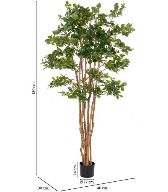 Planta ficus artificial con maceta, ideal para decorar interiores verdes3