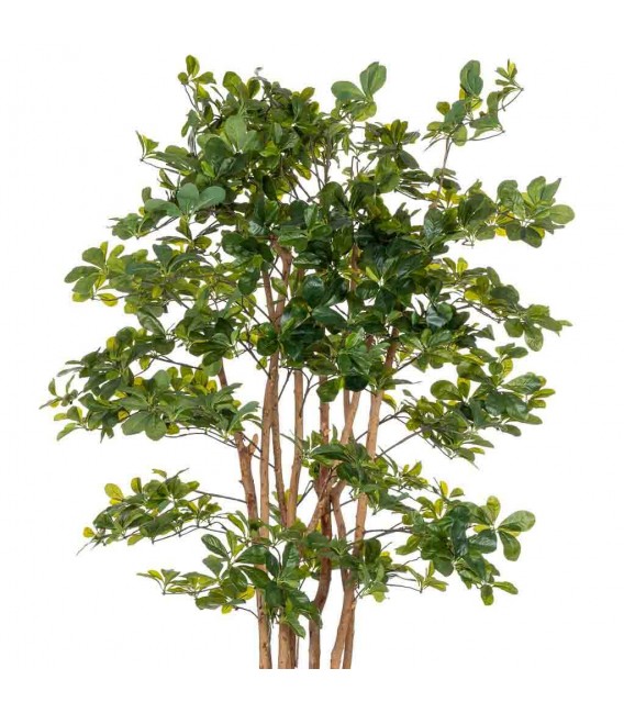 Planta ficus artificial con maceta, ideal para decorar interiores verdes4