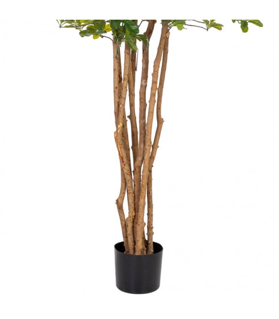 Planta ficus artificial con maceta, ideal para decorar interiores verdes6