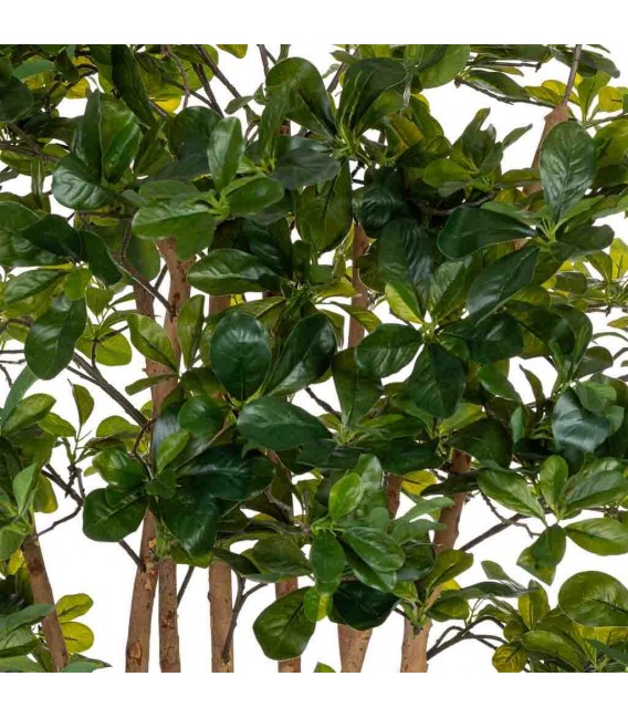 Planta ficus artificial con maceta, ideal para decorar interiores verdes5