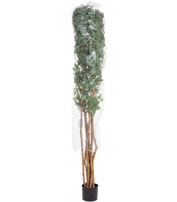 Planta ficus artificial con maceta, ideal para decorar interiores verdes2