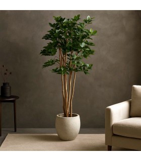 Planta ficus artificial con maceta, ideal para decorar interiores verdes Mdmhogar