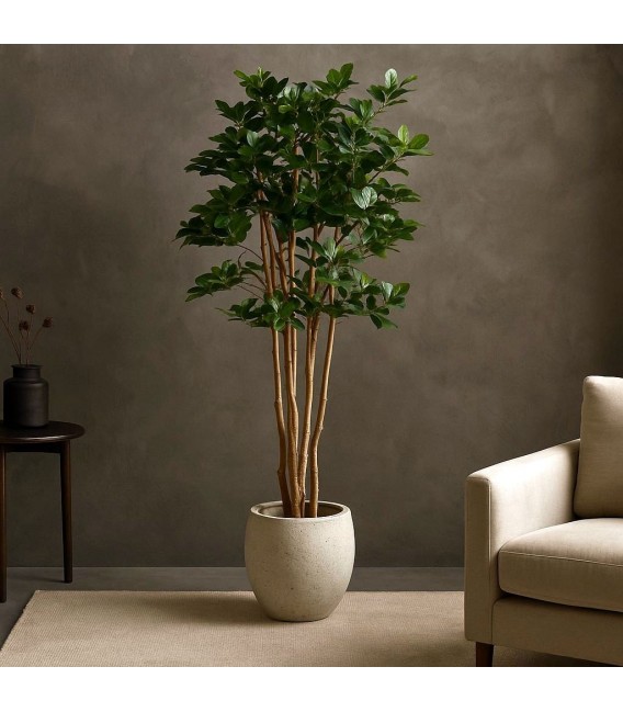 Planta ficus artificial con maceta, ideal para decorar interiores verdes Mdmhogar