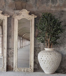 PLANTAS Y RAMAS DECORATIVAS